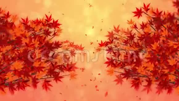枝带红叶在飘落传统的秋叶风景优美日式典雅循环动画视频的预览图