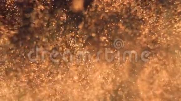 优雅的细致的金色的颗粒在水下流动具有较浅的景深视频的预览图