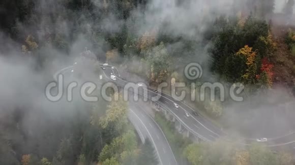秋天街道从一片雾蒙蒙的森林中空中的景色带着雾和树木在云层中飞舞视频的预览图