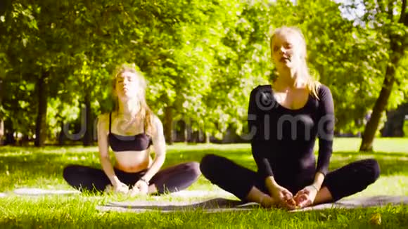 瑜伽两个在公园里做瑜伽运动的漂亮女人视频的预览图