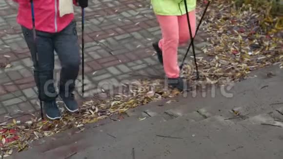 在秋日公园户外散步的老年妇女视频的预览图