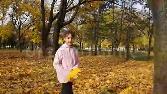 快乐的孩子玩秋叶视频的预览图