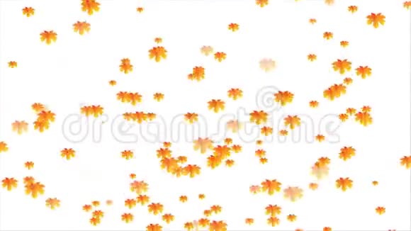 秋天落叶的背景视频的预览图