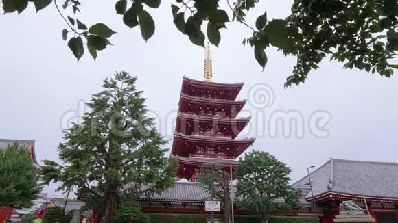 东京森秀寺著名的Asakusa森秀寺视频的预览图