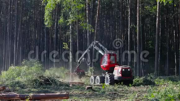 木材收割机森林砍伐伐木木材收割机特种设备森林砍伐视频的预览图