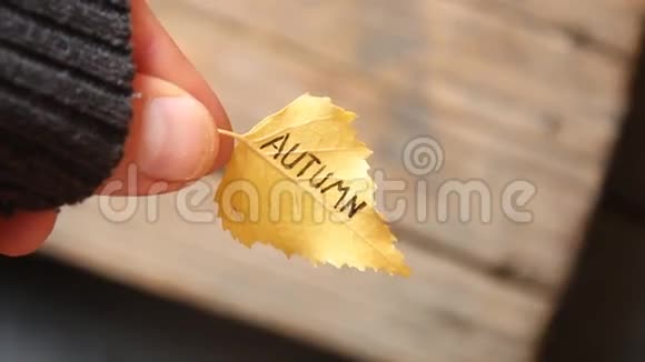 秋天的树叶铭文视频的预览图