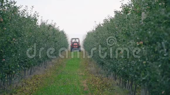 苹果树用拖拉机喷洒视频的预览图
