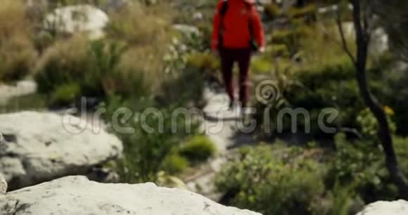 男子徒步旅行者背着背包在乡村4k视频的预览图
