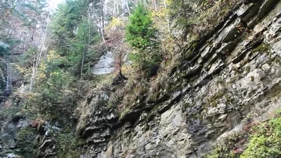 瀑布从悬崖上落下森林景观视频的预览图