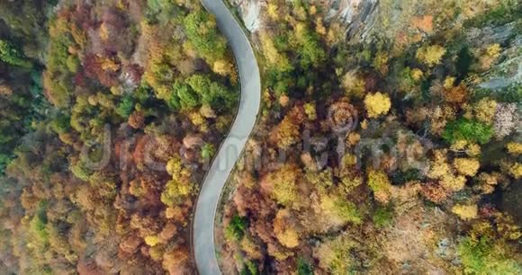 在五彩缤纷的秋林中汽车在公路上行驶俯瞰空中俯视图秋橙绿黄红的树林视频的预览图