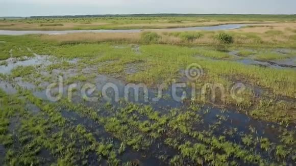 河谷附近沼泽土地的鸟瞰图视频的预览图