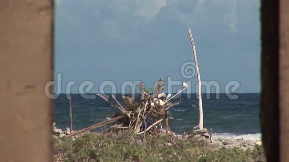 博内尔岛的房子被毁了视频的预览图