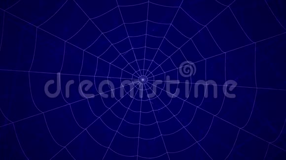 蓝色背景上的同心蜘蛛网视频的预览图