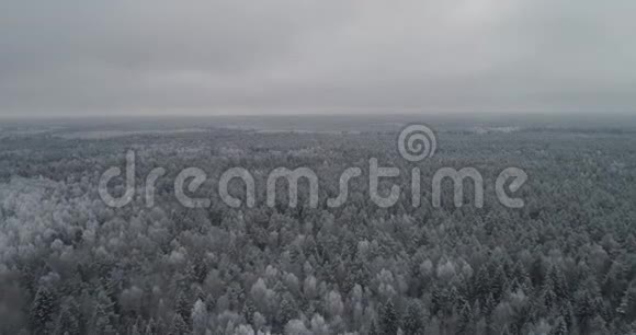 具有森林的冬季景观视频的预览图