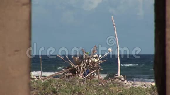 博内尔岛的房子被毁了视频的预览图