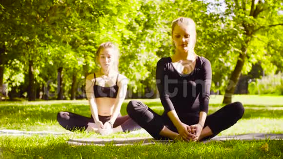 瑜伽两个在公园里做瑜伽运动的漂亮女人视频的预览图