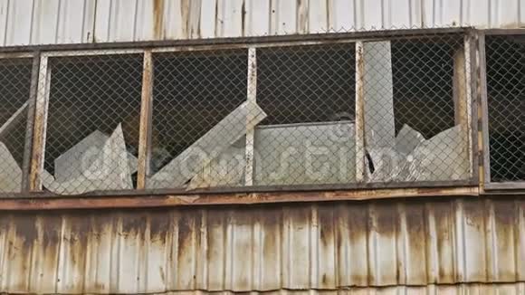 窗玻璃废弃仓库破厂视频的预览图