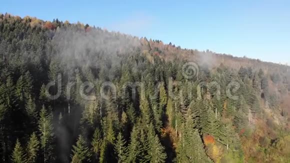 鸟瞰森林喀尔巴阡山脉的性质视频的预览图