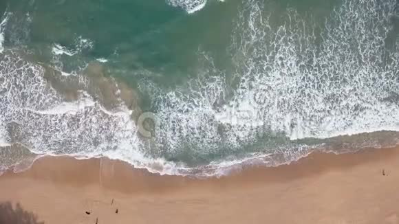 带海滩波的热带海洋视频的预览图