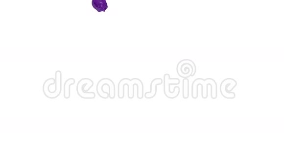 紫色流动液体像油漆在缓慢的运动三维渲染流体CG慢运动与阿尔法哑光全高清模拟视频的预览图