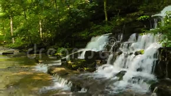 森林小溪和瀑布视频的预览图