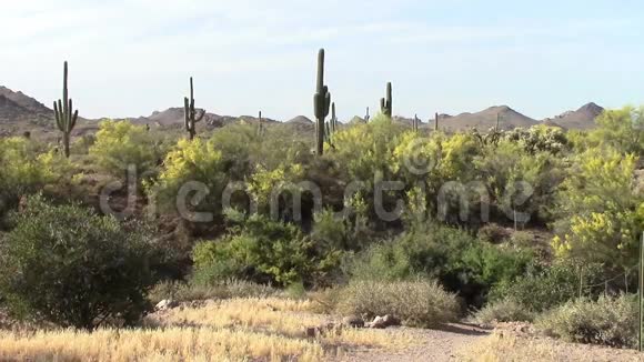 迷信山亚利桑那州视频的预览图