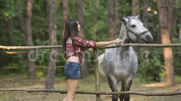 女人和马休闲风格视频的预览图