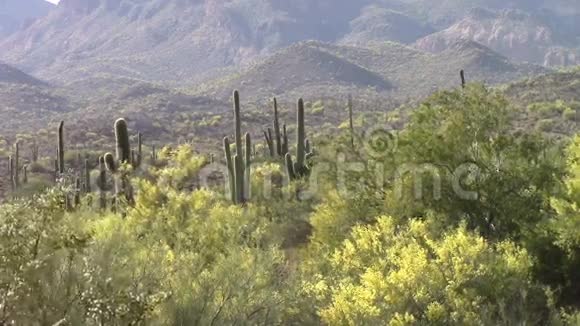 迷信山亚利桑那州视频的预览图