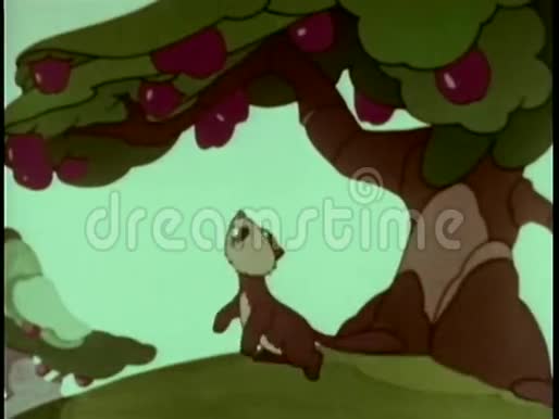 松鼠把苹果从树上敲下来视频的预览图