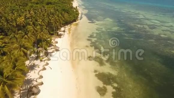 热带海滩和绿松石海菲律宾博霍尔视频的预览图