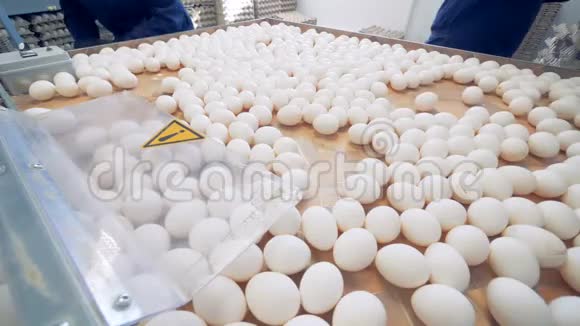 鸡蛋分类4K视频的预览图