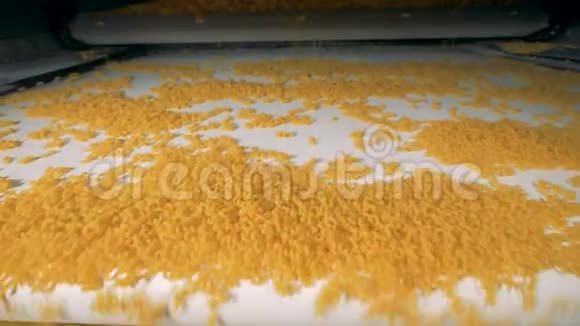 意大利面一家食品厂的通心粉生产线视频的预览图