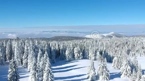 科帕尼克山冬季景观鸟瞰视频的预览图