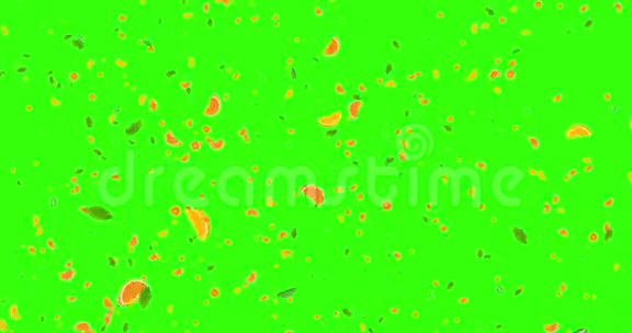 数字水果橙色切片叶子动画在绿色屏幕上飞舞关键背景视频的预览图