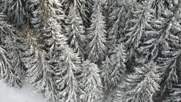 科帕尼克山冬季景观鸟瞰视频的预览图