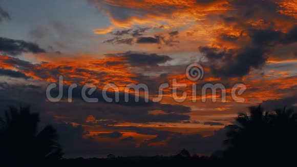 时光流逝夕阳西下丛林中的日出棕榈树的轮廓明亮的卷云视频的预览图