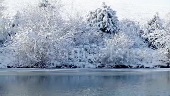 冬天的湖视频的预览图