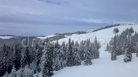 冬天飞过森林和群山视频的预览图