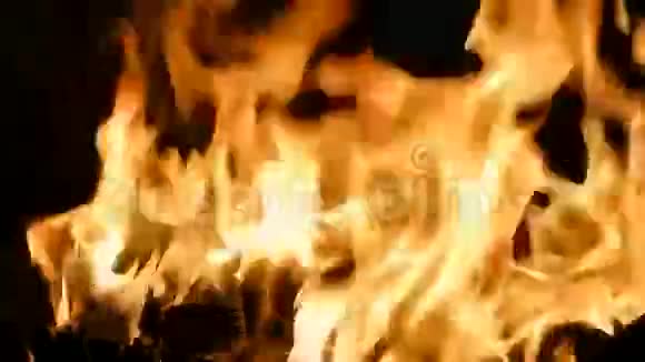 黑色背景下的火场火焰视频的预览图