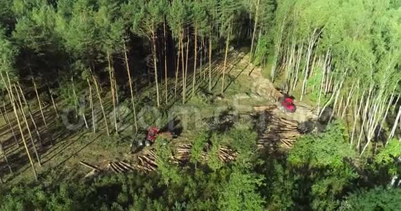 森林采伐木材收割机特种设备森林采伐视频的预览图
