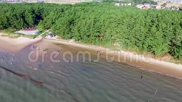 张杭松林山森林度假海滩鸟瞰图韩国亚洲视频的预览图