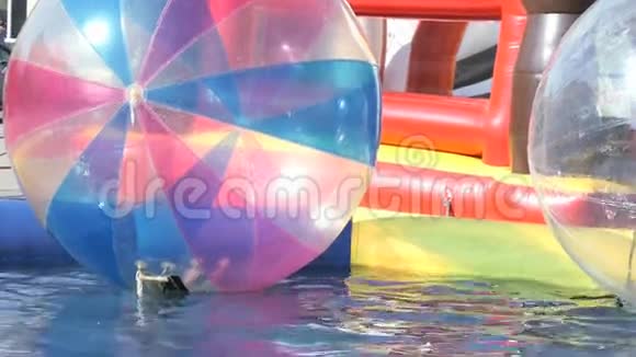 游泳池内漂浮的大型充气球视频的预览图