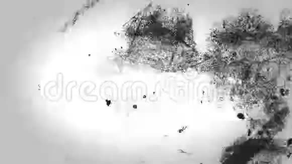 黑色和白色的复古电影纹理视频视频的预览图