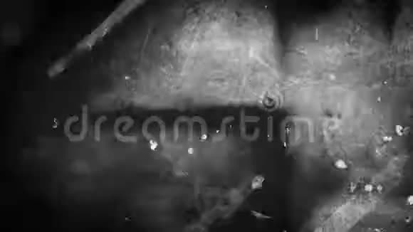 黑白色彩的复古电影质感视频视频的预览图