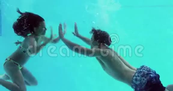 快乐的一对情侣牵着手在游泳池里跳视频的预览图