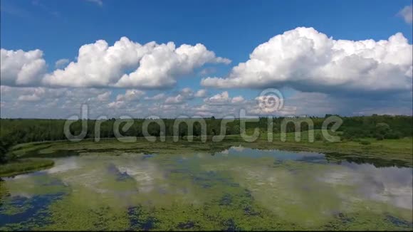 夏日的湖水和绿林白云笼罩着波兰的蓝天视频的预览图