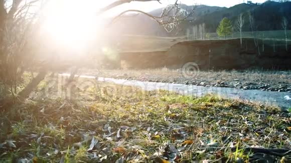 多利滑块拍摄了在森林附近的一条山河里飞溅的水潮湿的岩石和阳光水平稳定视频的预览图