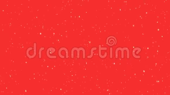 红色背景的数字动画视频的预览图