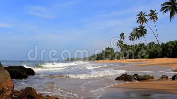 斯里兰卡热带海洋海滩视频的预览图