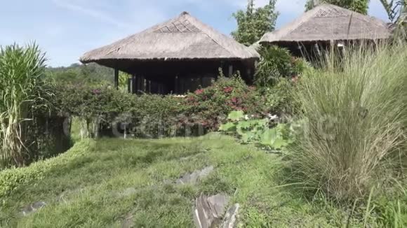 覆盖水稻梯田和棕榈树的山和农民的房子巴厘岛印度尼西亚视频的预览图